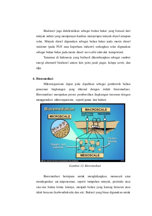 Bioteknologi Di Bidang Lingkungan
