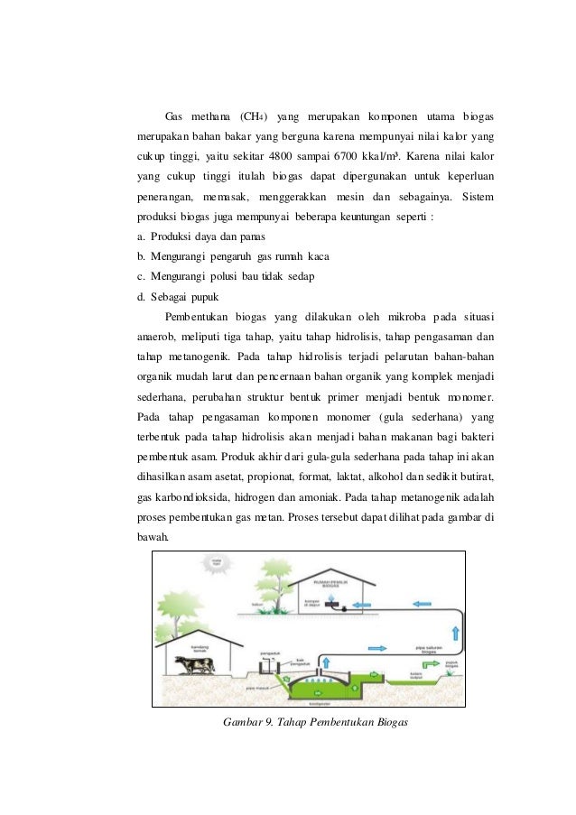 Bioteknologi Di Bidang Lingkungan