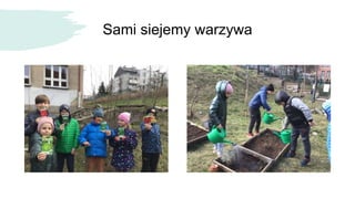 Sami siejemy warzywa
 