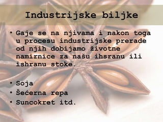 • Gaje se na njivama i nakon toga
u procesu industrijske prerade
od njih dobijamo životne
namirnice za našu ihsranu ili
ishranu stoke.
• Soja
• Šećerna repa
• Suncokret itd.
Industrijske biljke
 