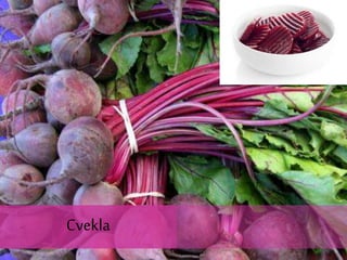 Cvekla
 