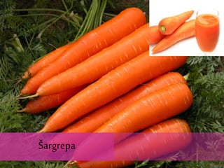 Šargrepa
Šargrepa
 