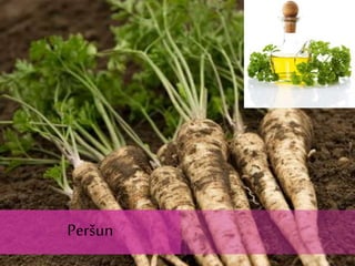 Peršun
Peršun
 