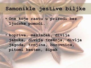 • One koje rastu u prirodi bez
ljudske pomoći.
• kopriva, maslačak, divlja
jabuka, divlja trešnja, divlja
jagoda, trnjina, borovnica,
pitomi kesten, šipak
Samonikle jestive biljke
 