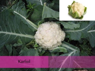 Karfiol
Karfiol
 