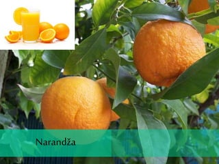 Narandža
Narandža
 