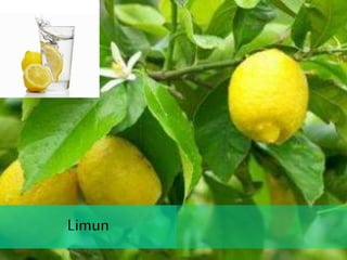 Limun
Limun
 