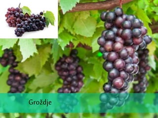 Grožđe
Groždje
 