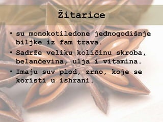 • su monokotiledone jednogodišnje
biljke iz fam trava.
• Sadrže veliku količinu skroba,
belančevina, ulja i vitamina.
• Imaju suv plod, zrno, koje se
koristi u ishrani.
Žitarice
 