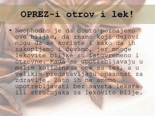 • Neophodno je da dobro poznajemo
ove biljke, da znamo koji delovi
mogu da se koriste i kako da ih
sakupljamo i čuvamo, jer mnoge
lekovite biljke su istovremeno i
otrovne. Kada se upotrebljavaju u
malim količinama one su lek, a u
velikim predstavljaju opasnost za
zdravlje. Zato ih ne smemo
upotrebljavati bez saveta lekara
ili stručnjaka za lekovito bilje.
OPREZ-i otrov i lek!
 