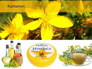 Kantarion
 