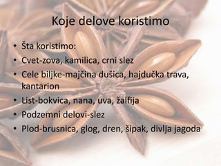 Koje delove koristimo
• Šta koristimo:
• Cvet-zova, kamilica, crni slez
• Cele biljke-majčina dušica, hajdučka trava,
kantarion
• List-bokvica, nana, uva, žalfija
• Podzemni delovi-slez
• Plod-brusnica, glog, dren, šipak, divlja jagoda
 