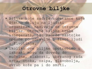 • Biljke koje sadrže supstance koje
štetno deluju na ljudski
organizam nazivaju se otrovne
biljke. Otrovne biljke treba
izbegavati, jer sadrže sastojke
opasne po zdravlje i život ljudi
i životinja.
• Ukoliko ove biljke upotrebimo u
ishrani mogu da dovedu do
mučnine, slabosti, ubrzanog rada
srca, otoka, osipa, glavobolja,
svrab kože pa i do smrti.
Otrovne biljke
 