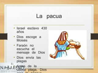 La pacua
• Israel esclavo 430
años
• Dios escoge a
Moisés
• Faraón no
escucha el
mensaje de Dios
• Dios envía las
plagas
• Antes de la
última plaga, Dios
 