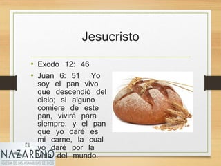 Jesucristo
• Exodo 12: 46
• Juan 6: 51 Yo
soy el pan vivo
que descendió del
cielo; si alguno
comiere de este
pan, vivirá para
siempre; y el pan
que yo daré es
mi carne, la cual
yo daré por la
vida del mundo.
 