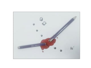 Je suis Charlie - Hommage