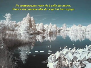 Ne comparez pas votre vie à celle des autres.
Vous n’avez aucune idée de ce qu’est leur voyage.
 