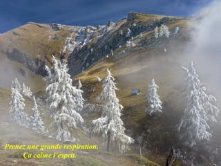 Prenez une grande respiration.
     Ça calme l’esprit.
 