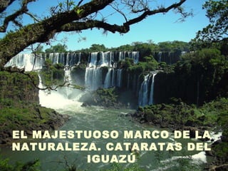 EL MAJESTUOSO MARCO DE LA NATURALEZA. CATARATAS DEL IGUAZÚ 
