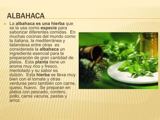 ALBAHACA
 La albahaca es una hierba que
se la usa como especie para
saborizar diferentes comidas. En
muchas cocinas del mundo como
la italiana, la mediterránea y
tailandesa entre otras es
considerada la albahaca un
ingrediente esencial para la
preparación de gran cantidad de
platos. Esta planta tiene un
aroma muy rico y fresco,
mentolado y su sabor es
dulzón. Esta hierba se lleva muy
bien con el tomate y otras
verduras pero también con carne,
queso, huevo. Se preparan en
platos con pescado, cordero,
pollo, carne vacuna, pastas y
arroz.
 