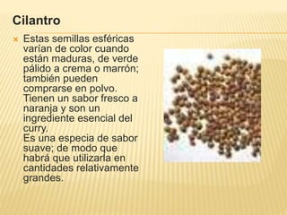 Cilantro
 Estas semillas esféricas
varían de color cuando
están maduras, de verde
pálido a crema o marrón;
también pueden
comprarse en polvo.
Tienen un sabor fresco a
naranja y son un
ingrediente esencial del
curry.
Es una especia de sabor
suave; de modo que
habrá que utilizarla en
cantidades relativamente
grandes.
 