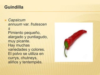 Guindilla
 Capsicum
annuum var. frutescen
s
Pimiento pequeño,
alargado y puntiagudo,
muy picante.
Hay muchas
variedades y colores.
El polvo se utiliza en
currys, chutneys,
aliños y tentempiés.
 