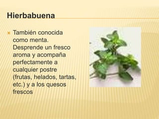 Hierbabuena
 También conocida
como menta.
Desprende un fresco
aroma y acompaña
perfectamente a
cualquier postre
(frutas, helados, tartas,
etc.) y a los quesos
frescos
 