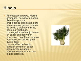 Hinojo
 Foeniculum vulgare. Hierba
aromática, de sabor anisado.
Se utiliza por sus
propiedades digestivas, para
los pescados grasos, carnes
de cerdo y algunas salsas,
pasteles y bebidas.
Los cogollos de hinojo tienen
un sabor anisado y son
buenos en ensaladas, crudos
y picados, o cocidos igual
que el apio.
Las semillas de hinojo
también tienen un sabor
ligeramente anisado y
pueden usarse en muchos
platos distintos.
 