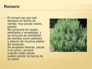 Romero
 El romero se usa casi
siempre en forma de
ramita; muy pocas veces,
picado
Se consume en sopas,
estofados y ensaladas, y
se incluyen en ramilletes
de hierbas como aderezo
y adorno de muchos platos
de verduras.
Se emplean frescas, secas
o en polvo, aunque
cuando están secas
suelen perder la fuerza de
su sabor
 