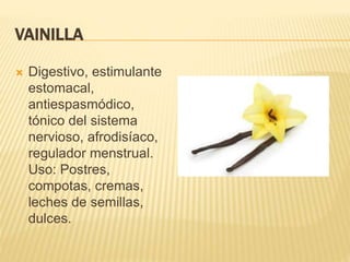 VAINILLA
 Digestivo, estimulante
estomacal,
antiespasmódico,
tónico del sistema
nervioso, afrodisíaco,
regulador menstrual.
Uso: Postres,
compotas, cremas,
leches de semillas,
dulces.
 