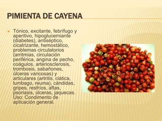 PIMIENTA DE CAYENA
 Tónico, excitante, febrífugo y
aperitivo, hipoglucemiante
(diabetes), antiséptico,
cicatrizante, hemostático,
problemas circulatorios
(arritmias, circulación
periférica, angina de pecho,
coágulos, arteriosclerosis,
trombosis, sabañones,
úlceras varicosas) y
articulares (artritis, ciática,
lumbago, reuma), cándidas,
gripes, resfríos, aftas,
psoriasis, úlceras, jaquecas.
Uso: Condimento de
aplicación general.
 