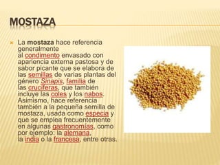 MOSTAZA
 La mostaza hace referencia
generalmente
al condimento envasado con
apariencia externa pastosa y de
sabor picante que se elabora de
las semillas de varias plantas del
género Sinapis, familia de
las crucíferas, que también
incluye las coles y los nabos.
Asimismo, hace referencia
también a la pequeña semilla de
mostaza, usada como especia y
que se emplea frecuentemente
en algunas gastronomías, como
por ejemplo: la alemana,
la india o la francesa, entre otras.
 