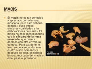 MACIS
 El macis no es tan conocido
y apreciado como la nuez
moscada, pero esto debería
cambiar, pues ofrece
similares cualidades a las
elaboraciones culinarias. El
macis no es ni más ni menos
que la cáscara de la nuez
moscada, que cuenta
además con otra envoltura
carnosa. Para extraerlo, el
fruto se deja secar durante
cuatro o seis semanas y
después se pela, se separa
la nuez moscada del macis y
este, pasa al prensado.
 
