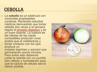 CEBOLLA
 La cebolla es un tubérculo con
conocidas propiedades
curativas. Recientes estudios
médicos demuestran que tomar
cebolla dos veces a la semana
regula el proceso digestivo y es
un buen laxante. La ruptura de
las células de las capas
comestibles producen unos
ácidos que al volatilizarse y
tomar contacto con los ojos
produce un
molesto lagrimeo y escozor que
permanecen pocos minutos.
Para evitar esto debemos
cortar la cebolla con un cuchillo
bien afilado y humedecido para
que la ruptura de células sea la
menor posible.
 