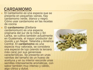 CARDAMOMO
 El cardamomo es una especia que se
presenta en pequeñas vainas, hay
cardamomo verde, blanco y negro.
Cómo usar cardamomo en las recetas
de cocina
 El cardamomo (Elettaria
cardamomum) es una especia
originaria del sur de la India y Sri
Lanka, se cultiva también actualmente
en Guatemala, el mayor productor del
mundo y en Nepal, Tailandia y América
Central. El cardamomo es una
especia muy valorada, se considera
una especia de lujo (siendo la tercera
más cara) por sus generosas
características. Se presenta en unas
vainitas del tamaño de un hueso de
aceituna y en su interior esconde unas
semillas intensamente aromáticas, con
sabor también muy intenso y cálido,
algo cítrico y dulce.
 