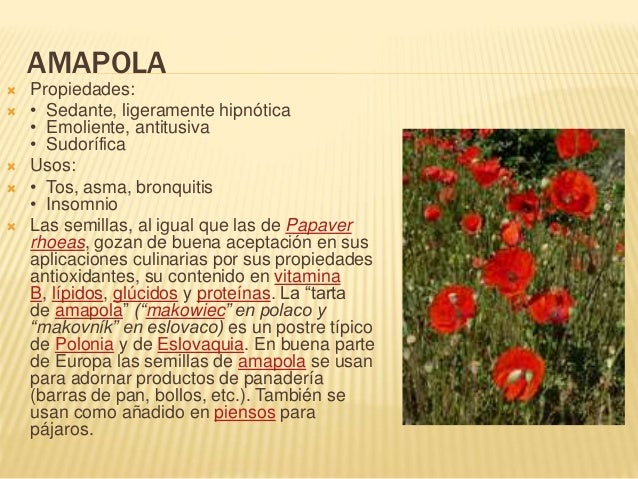 Las gotas el martillo tora en las farmacias ukrainy