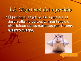 1.3. Objetivos del ejercicio El principal objetivo del ejercicio es desarrollar la potencia, resistencia o elasticidad de los músculos que forman nuestro cuerpo. Fisiología y ejercicio 