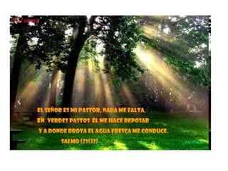 El Señor es mi pastor, nada me falta, En   verdes pastos  él me hace reposar y a donde brota el agua fresca me conduce. Salmo (23(22) 