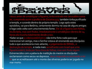 Jesus antes de amaldiçoar a figueira, tinha entrado em Jerusalém como rei, cumprindo assim a profecia de Zacarias 9:9, também tinha purificado o templo, e curando dentro do próprio templo. Logo após estes episódios, vai para Betânia, certamente dormiu na casa de alguns amigos e logo cedo volta com uma tremenda fome. Ele vê a figueira com folhas, muito bela, mas sem frutos. Imediatamente a amaldiçoa e dentro de 24 horas ela murcha totalmente desde a raiz.