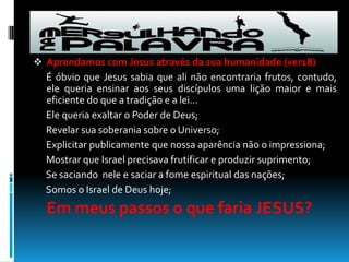 A figueira apesar de sua beleza não tinha frutos, tinha folhas completas, de longe enganava a quem a visse. Jesus ao aproximar-se dela, não viu frutos e indignado a amaldiçoou. A figueira é uma arvore muito comum na palestina e pode crescer até 11m.