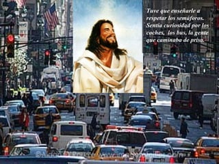 Tuve que enseñarle a respetar los semáforos. Sentía curiosidad por los coches,  los bus, la gente que caminaba de prisa.   