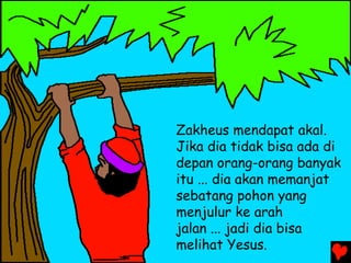 Zakheus mendapat akal.
Jika dia tidak bisa ada di
depan orang-orang banyak
itu ... dia akan memanjat
sebatang pohon yang
menjulur ke arah
jalan ... jadi dia bisa
melihat Yesus.
 