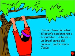 ¡Zaqueo tuvo una idea!
Si podría adelantarse a
la multitud… subirse a
un árbol cerca del
camino… podría ver a
Jesús.
 