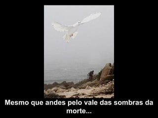 Mesmo que andes pelo vale das sombras da morte... 