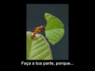 Faça a tua parte, porque... 