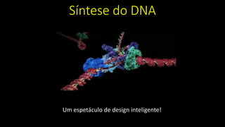 Síntese do DNA
Um espetáculo de design inteligente!
 