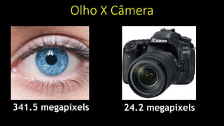 Olho X Câmera
341.5 megapixels 24.2 megapixels
 