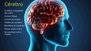 Cérebro
- O melhor computador
que existe.
- A prova d’água.
- A prova de choque.
- Trilhões de conexões.
- 86 bilhões de neurônios.
- Pensar, sentir, criar e
- Se comunicar com o
Criador.
 