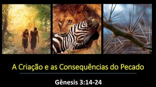 A Criação e as Consequências do Pecado
Gênesis 3:14-24
 