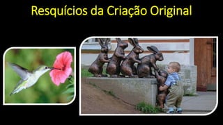 Resquícios da Criação Original
 